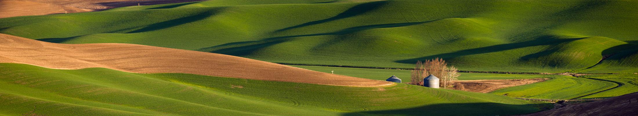 Rolling Hills of Eastern Washington